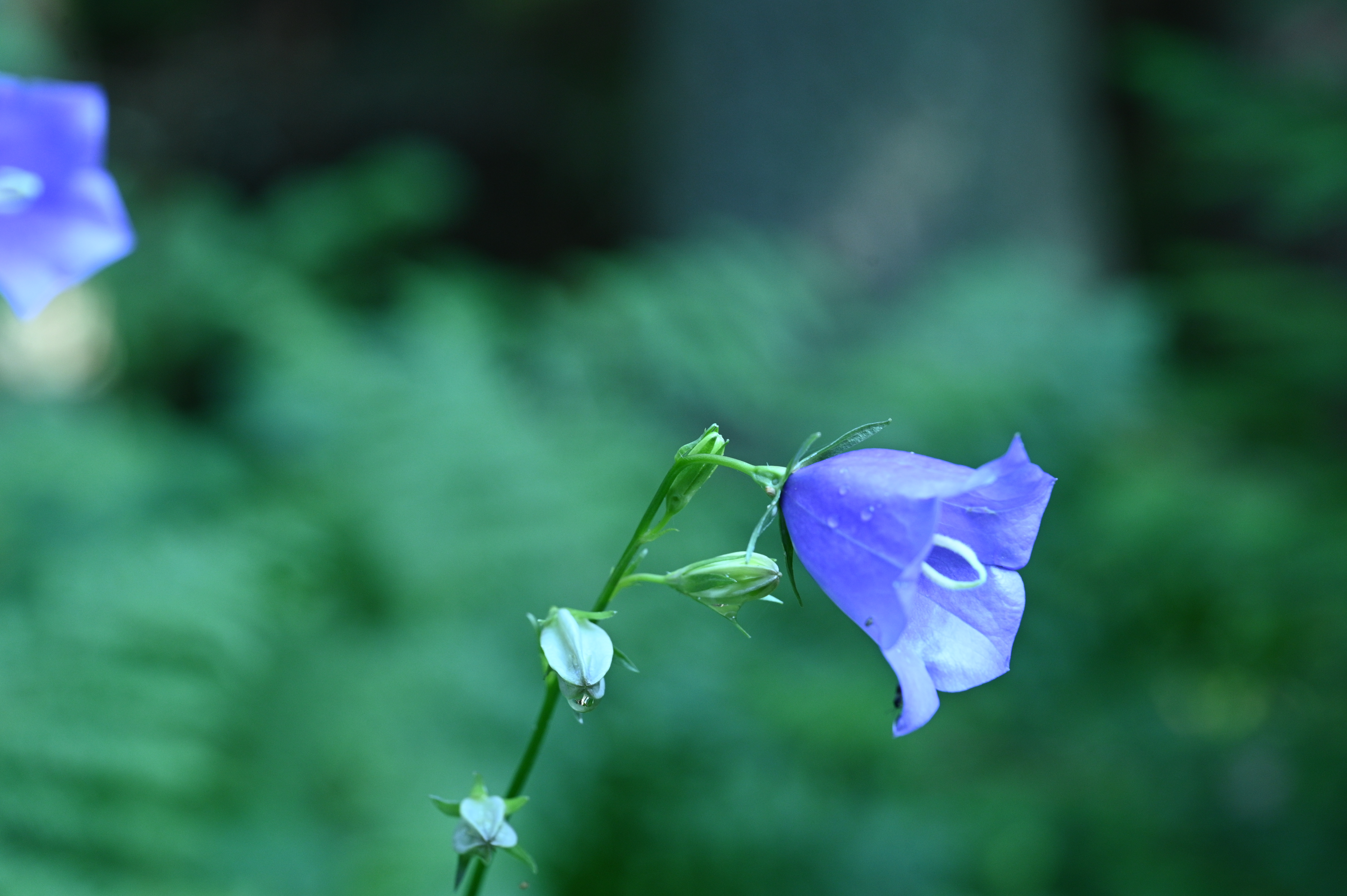 2025/07/09-14 - trip/DSC_0280.JPG